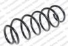 ROC CS7963 Coil Spring